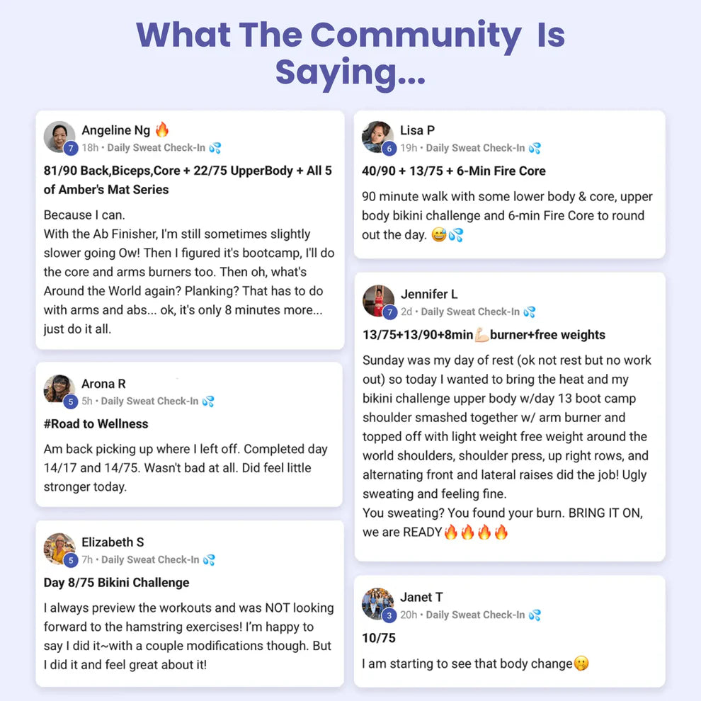 Portable Pilates Reformer + 90 Day Bootcamp