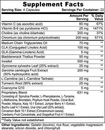 28 Day Fat Burner With MCT